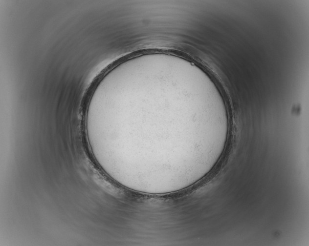 X0000110670779200907021845