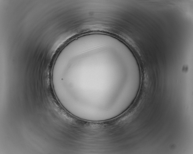 X0000110670782200907021845