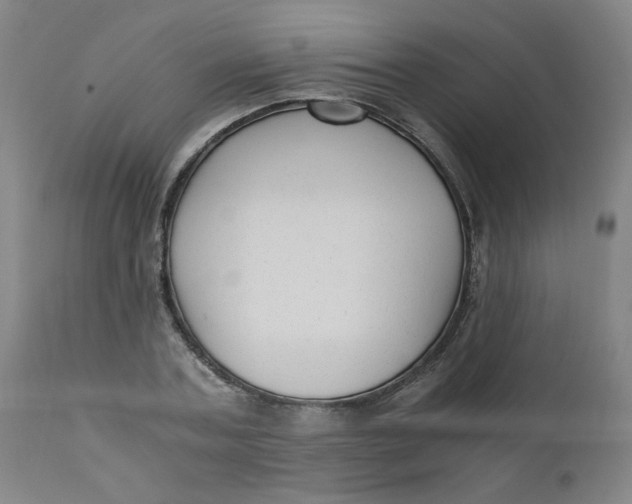 X0000110670787200907021845