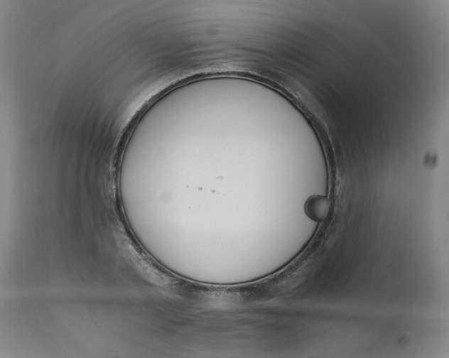 X0000110670789200907021845