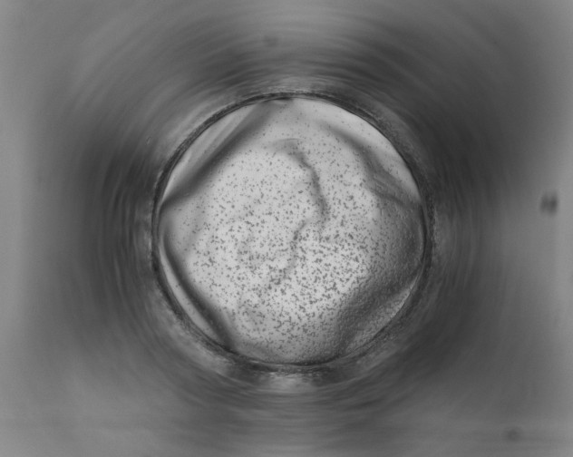 X0000110670794200907021845