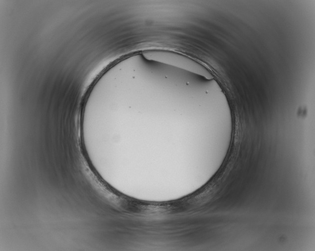 X0000110670796200907021845