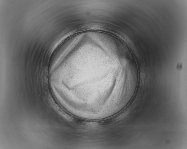 X0000110670798200907021845