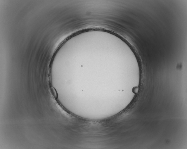 X0000110670799200907021845