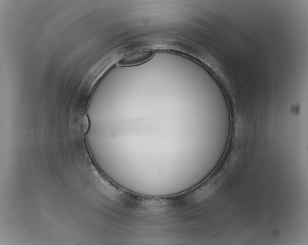 X0000110670801200907021845