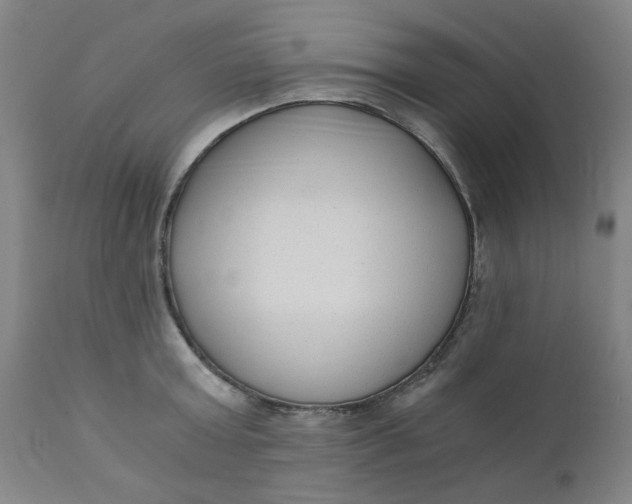 X0000110670803200907021845