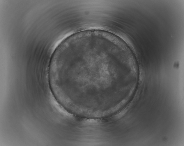 X0000110670806200907021845