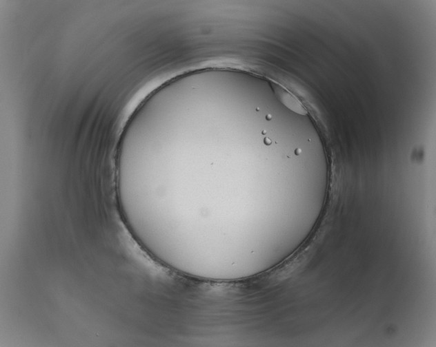 X0000110670808200907021845
