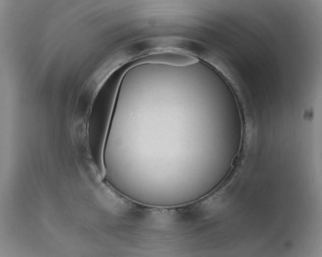 X0000110670809200907021845