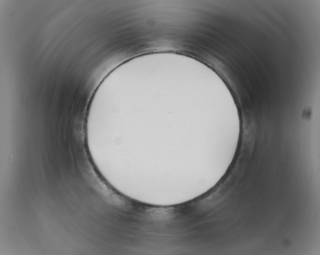 X0000110670810200907021845