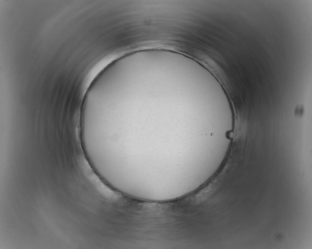 X0000110670812200907021845