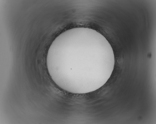 X0000110670817200907021844