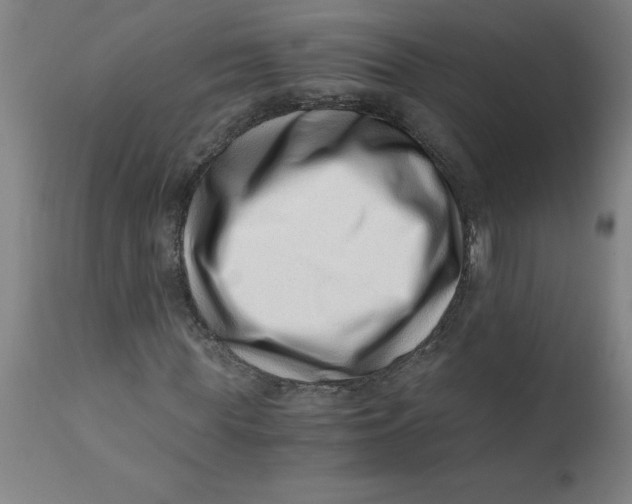 X0000110670819200907021844
