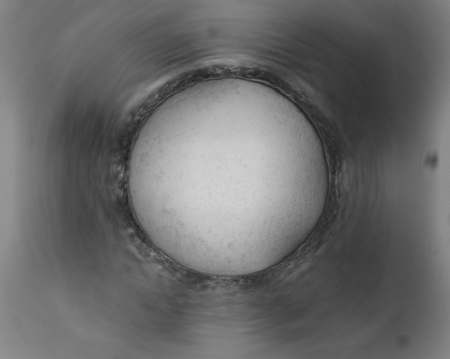 X0000110670822200907021844