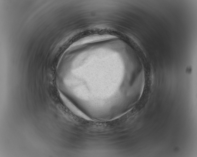 X0000110670823200907021844