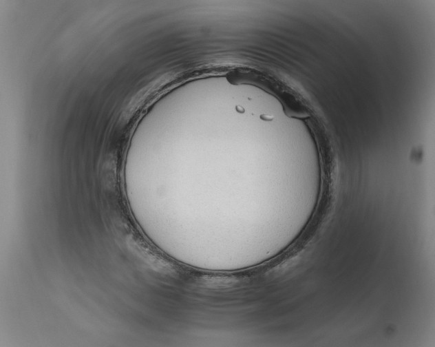 X0000110670825200907021844