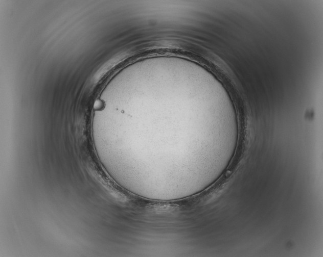 X0000110670826200907021844
