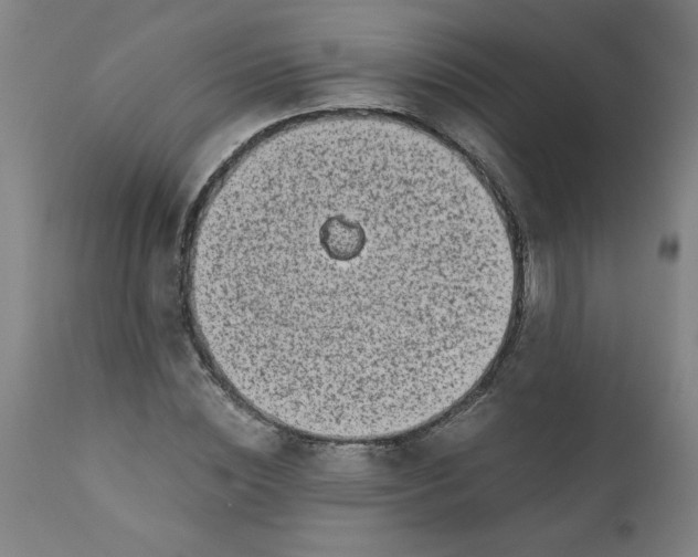 X0000110670828200907021844