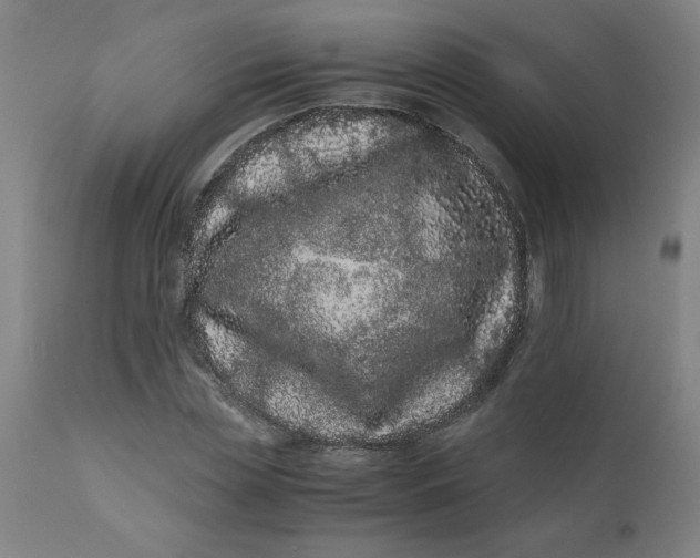 X0000110670829200907021844