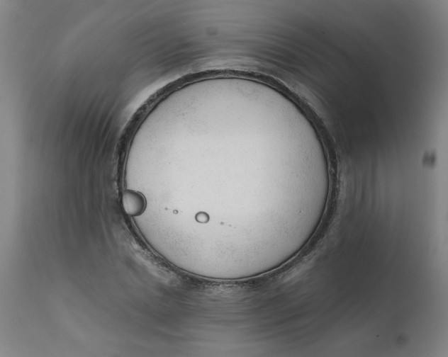 X0000110670830200907021844