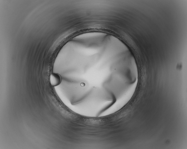 X0000110670831200907021844