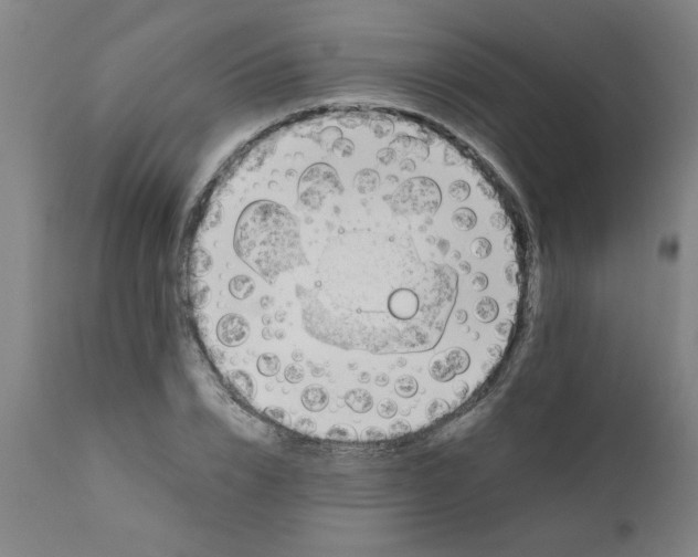 X0000110670832200907021844