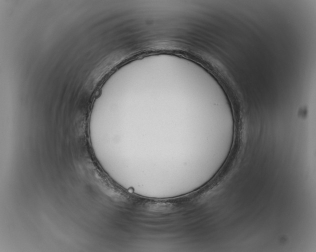X0000110670833200907021844