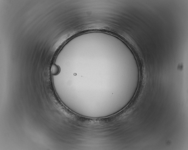 X0000110670834200907021844