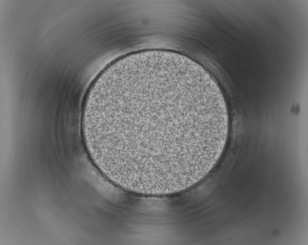 X0000110670836200907021844