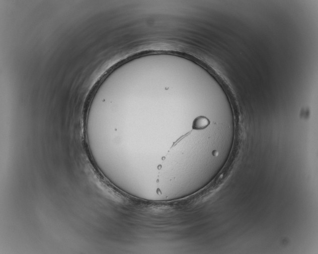 X0000110670837200907021844