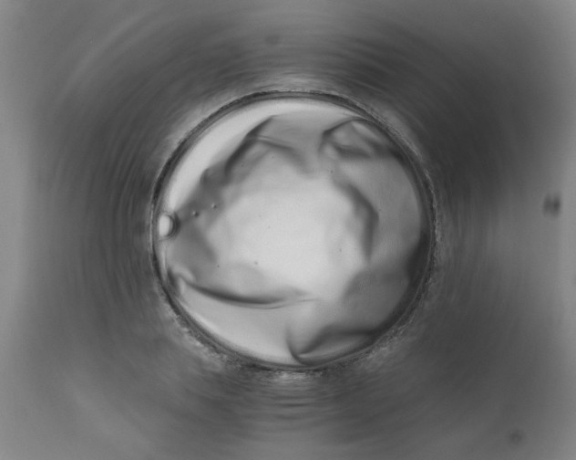 X0000110670839200907021844