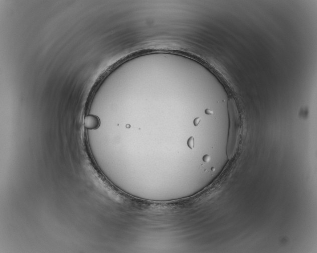 X0000110670840200907021844