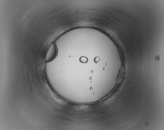 X0000110670841200907021844