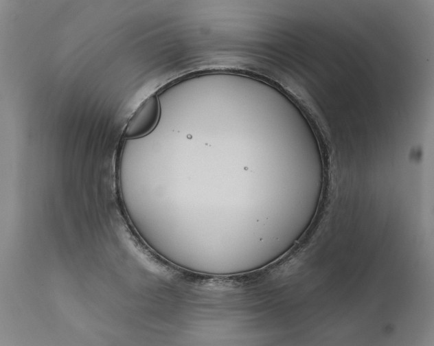 X0000110670842200907021844