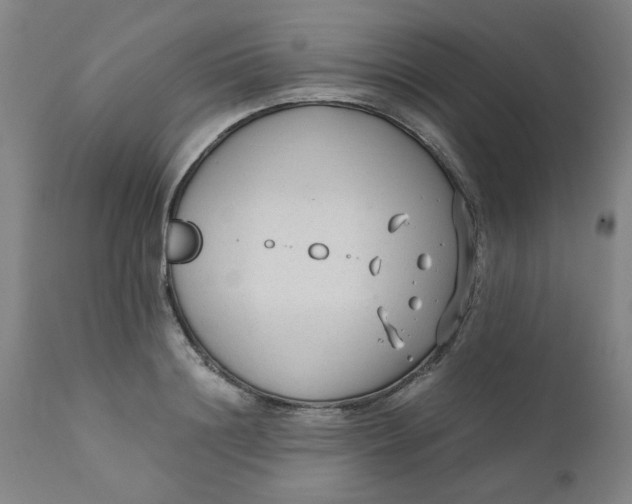X0000110670844200907021844