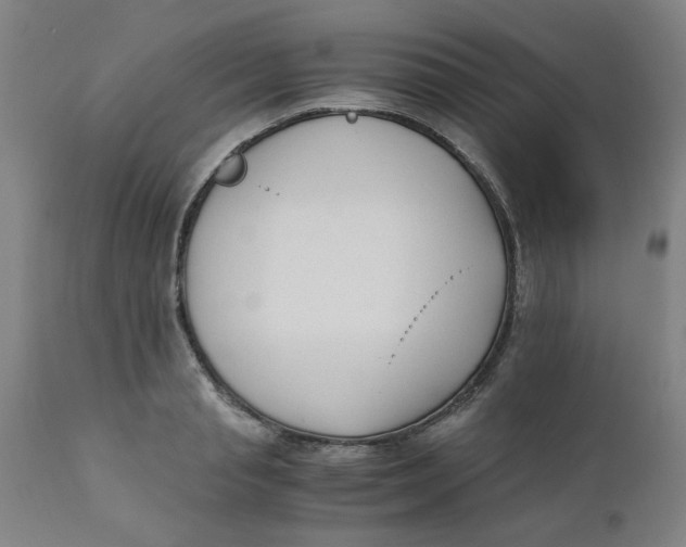 X0000110670845200907021844