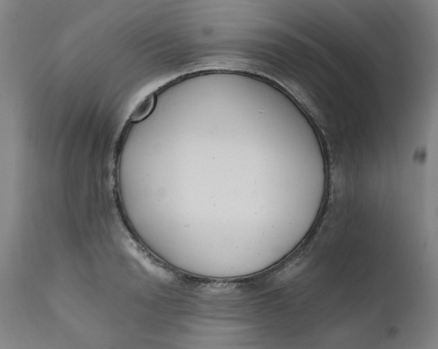 X0000110670846200907021844
