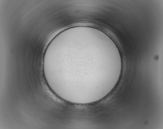 X0000110670852200907021844