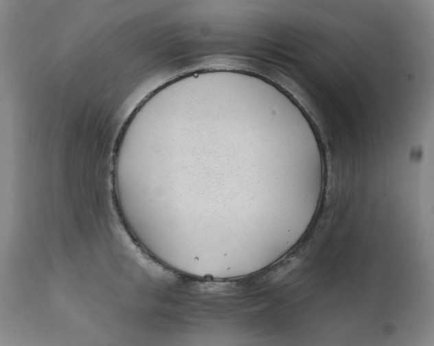 X0000110670853200907021844