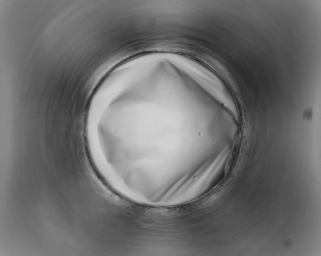 X0000110670855200907021844