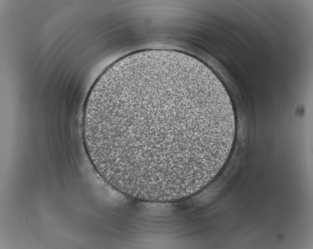 X0000110670856200907021844