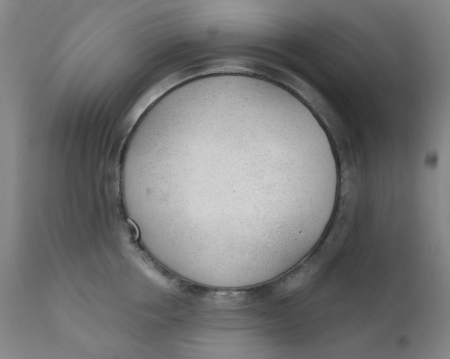 X0000110670858200907021844