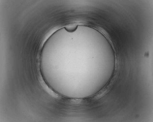 X0000110670859200907021844