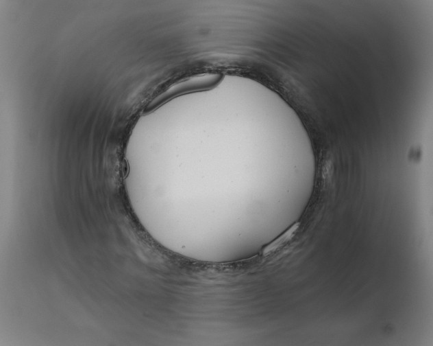 X0000110670868200907021844