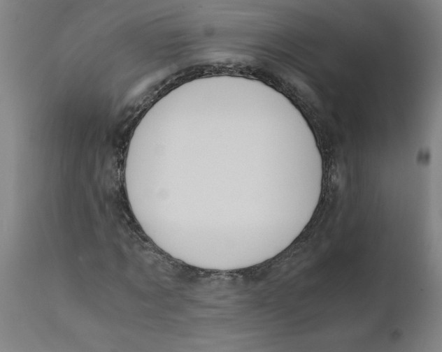 X0000110670869200907021844