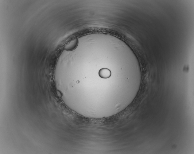 X0000110670870200907021844