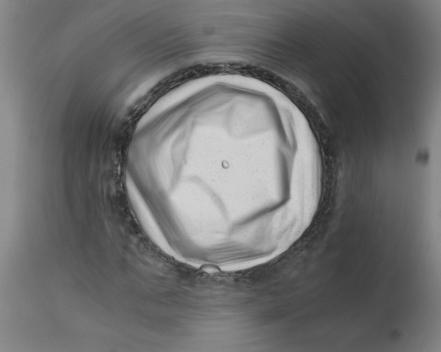 X0000110670871200907021844
