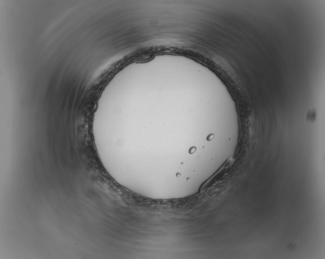 X0000110670872200907021844