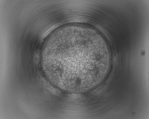 X0000110670874200907021844