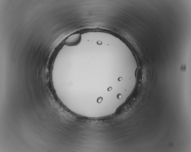 X0000110670876200907021844